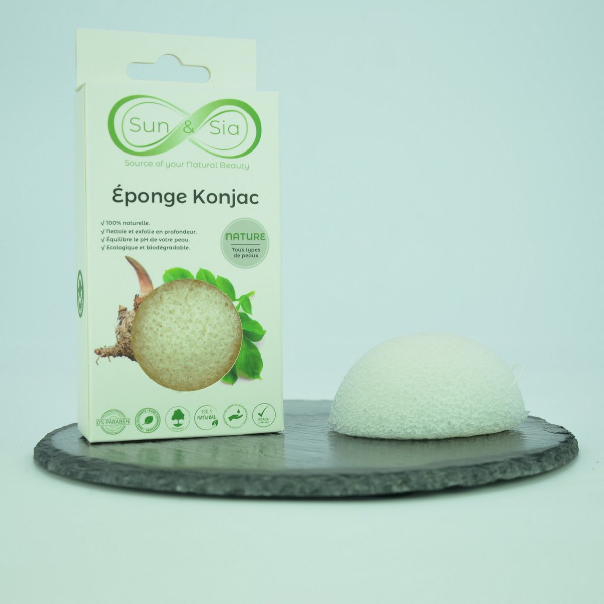 Spugna Konjac 100% naturale viso e corpo - In scatola | Diversi modelli tra cui scegliere