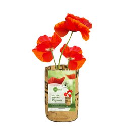 Let it Grow Vivero - amapolas