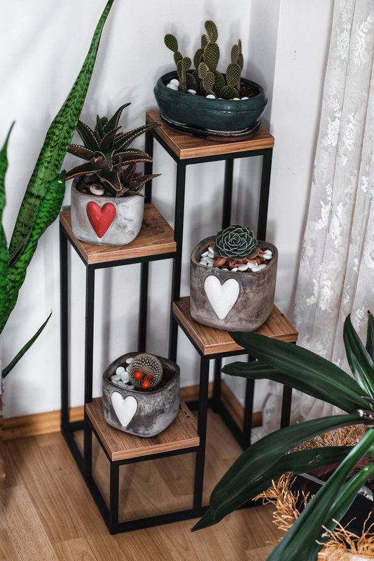 Metal plant rack with wooden etageres from Naturn Living | Etagere Plants | Spice rack | Flower rack indoor - outdoor | Plant stand | Plant column | Matt black