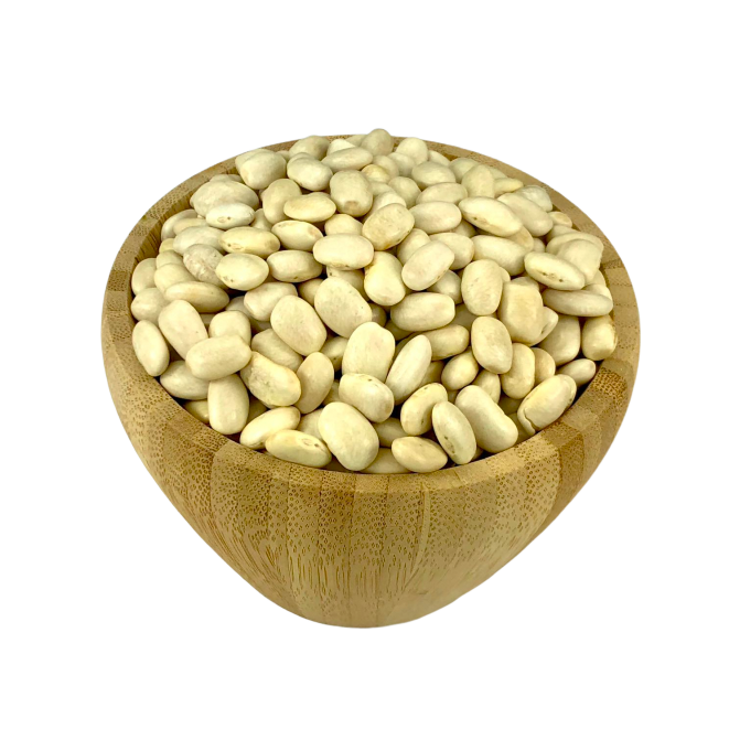 Organic White Bean in Bulk