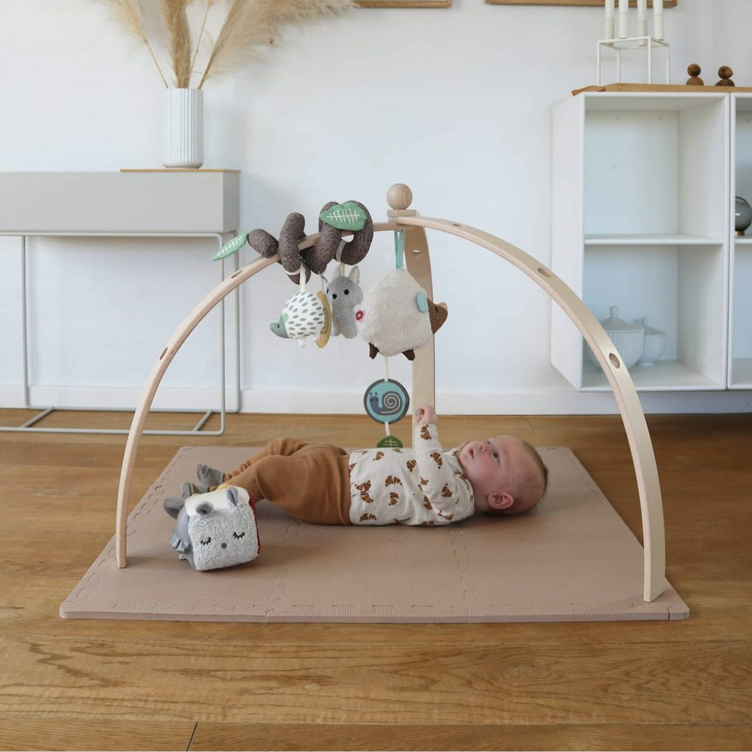FRANCK & FISCHER BabySpyder Baby-Fitnessstudio Holz Kopie