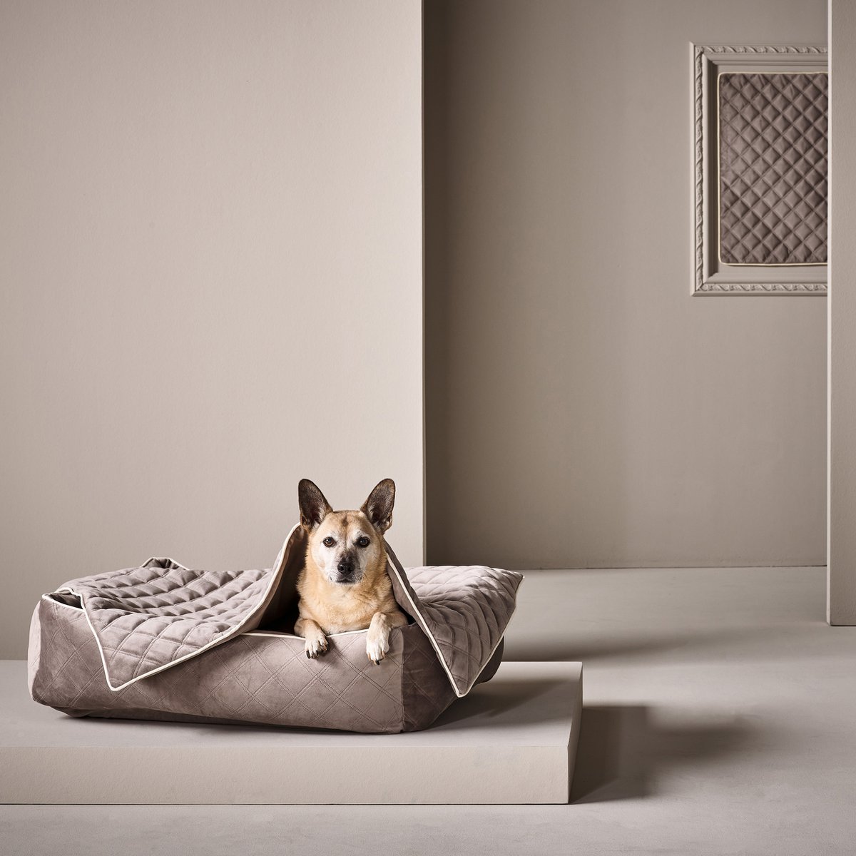 Coperta in velluto OXFORD per cani