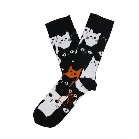 Animal - Cats