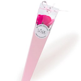 Fuchsia-Seifenrose