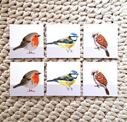 Coasters birds