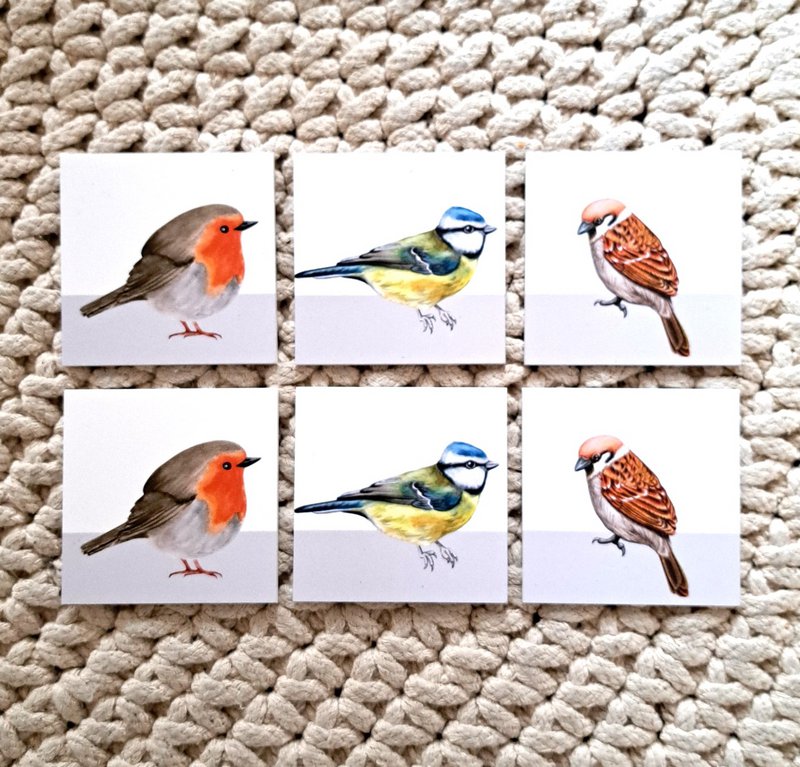 Coasters birds