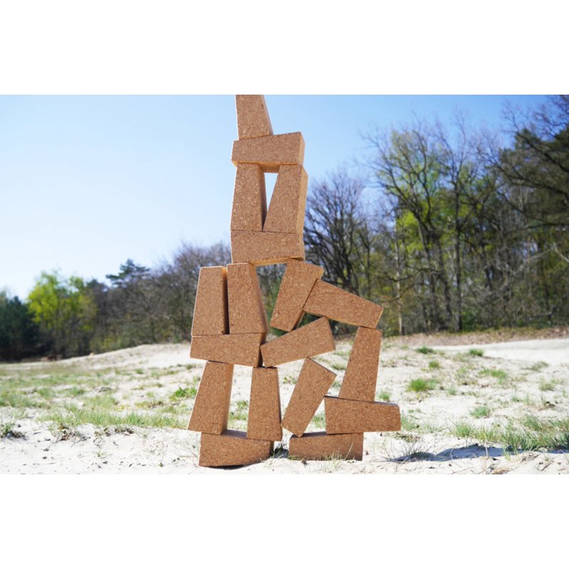To Jungle Blocks