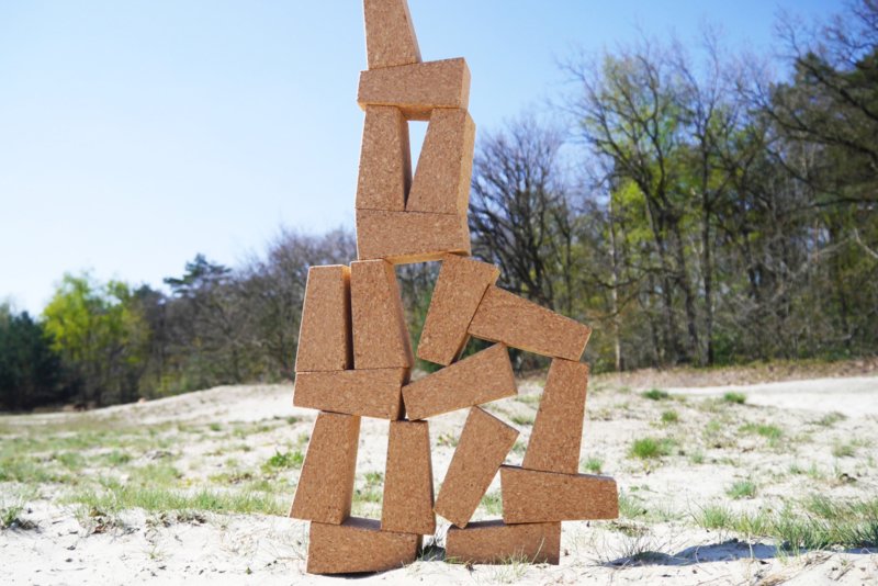 To Jungle Blocks