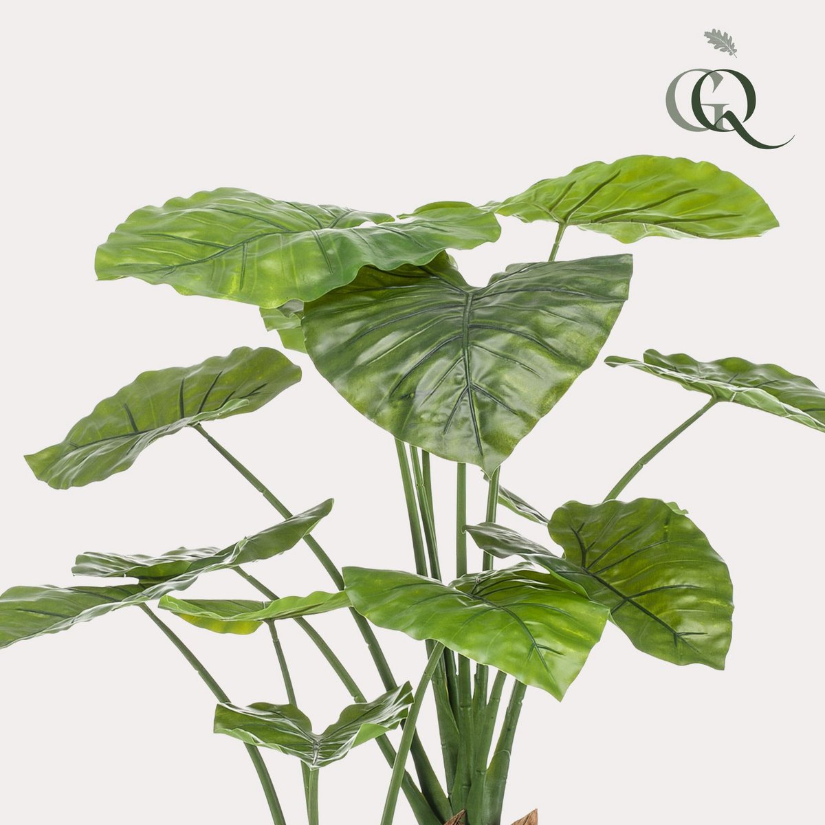 Kunstpflanze - Alocasia - Elefantenohr - 110cm