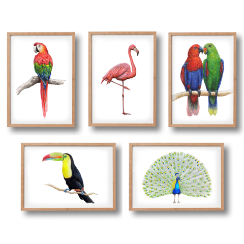 5 Tierplakate tropische Vögel - A4 - Kindergarten Kindergarten - Babypartygeschenk - Wanddekoration - handbemalt von Mies mit Aquarell