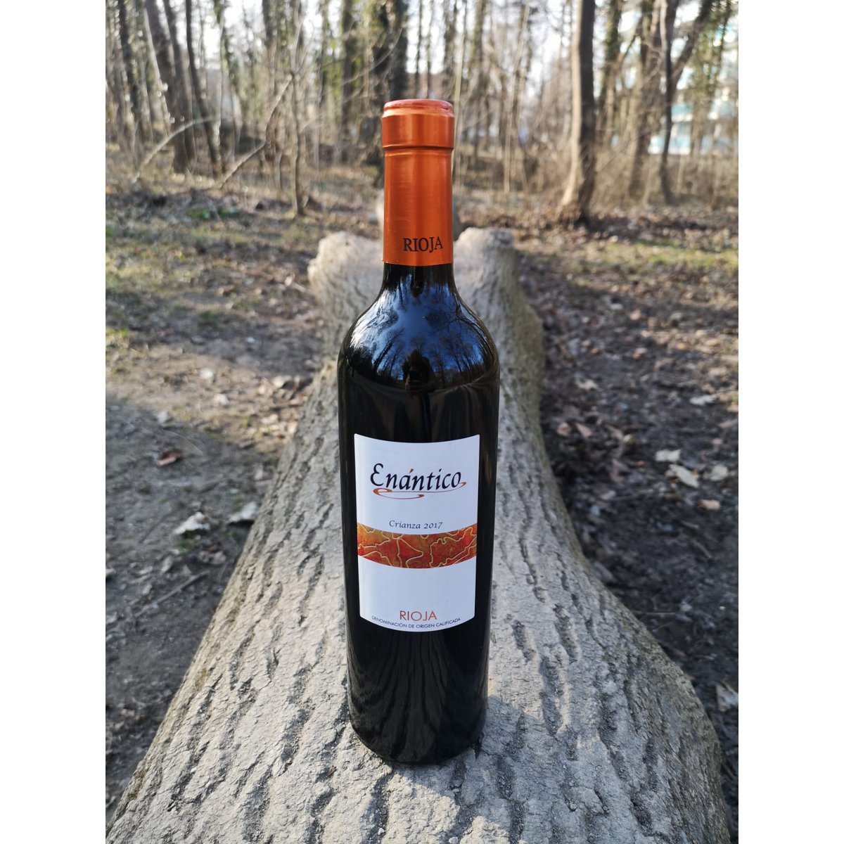 Crianza red wine D.O.Ca. Rioja Enantico