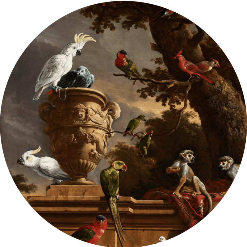 il Serraglio - Rijksmuseum