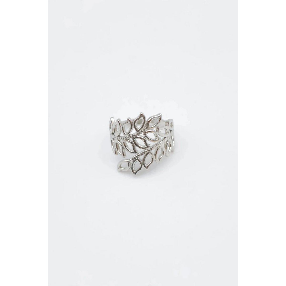 RVS ringen