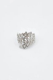 RVS ringen