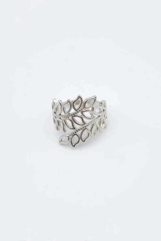 RVS ringen