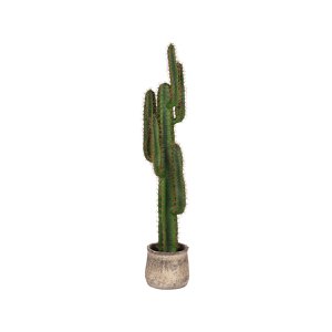 Hazer Cactus - Green - Plastic - 130 cm 30 x 130 x 25 cm
