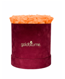 Velvet Bordeaux Collection