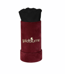 Velvet Bordeaux Collection