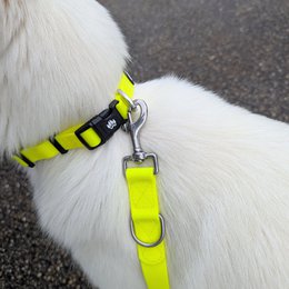 Waterproof multi-position leash Fluorescent yellow
