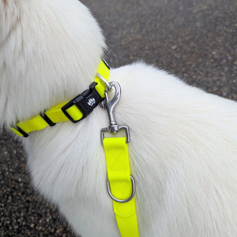 Waterproof multi-position leash Fluorescent yellow