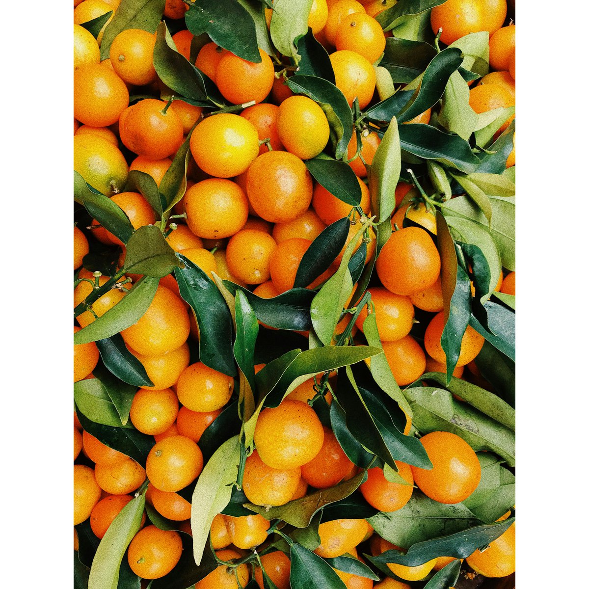 Fragrance candle "Sweet Orange" - fruity & refreshing