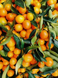 Duftlys "sød orange" - frugtagtig og forfriskende