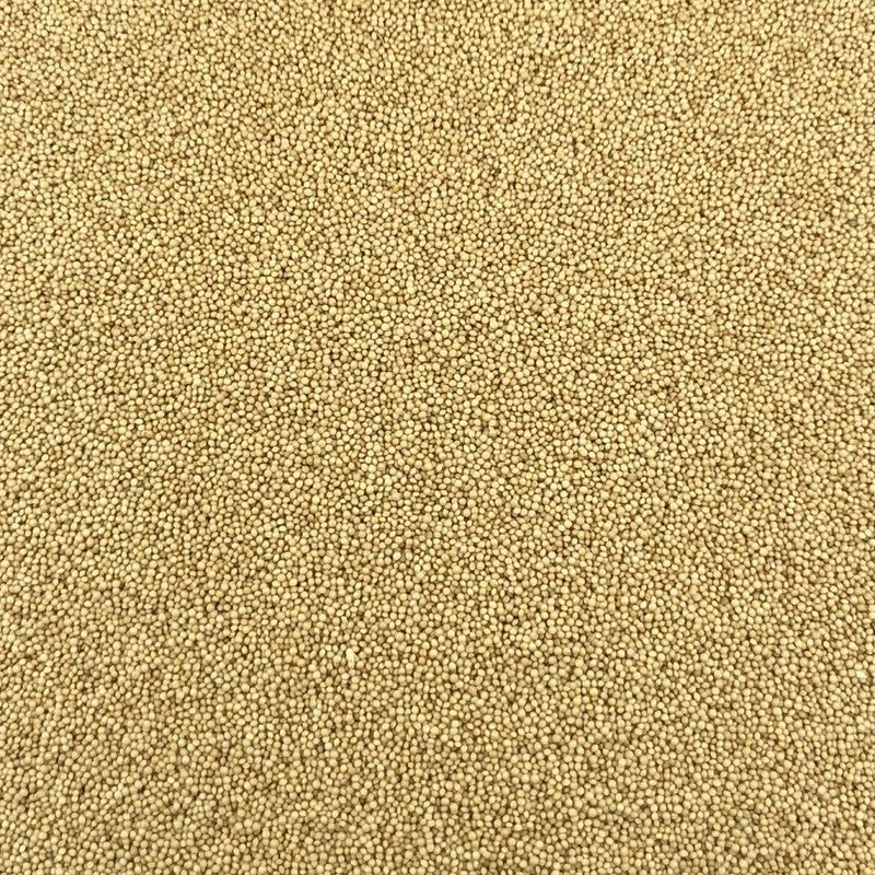 Organic Millet in Bulk