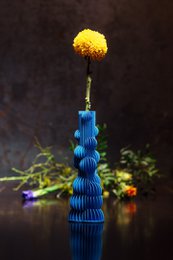 Bolle Vase 02