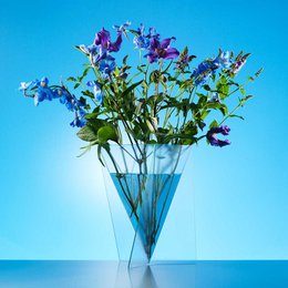 Designvase - Mart van Schijndel - Deltavase