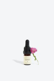 Olio essenziale di PATCHOULI