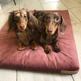 Materasso "Soft" per cane e gatto - riciclato