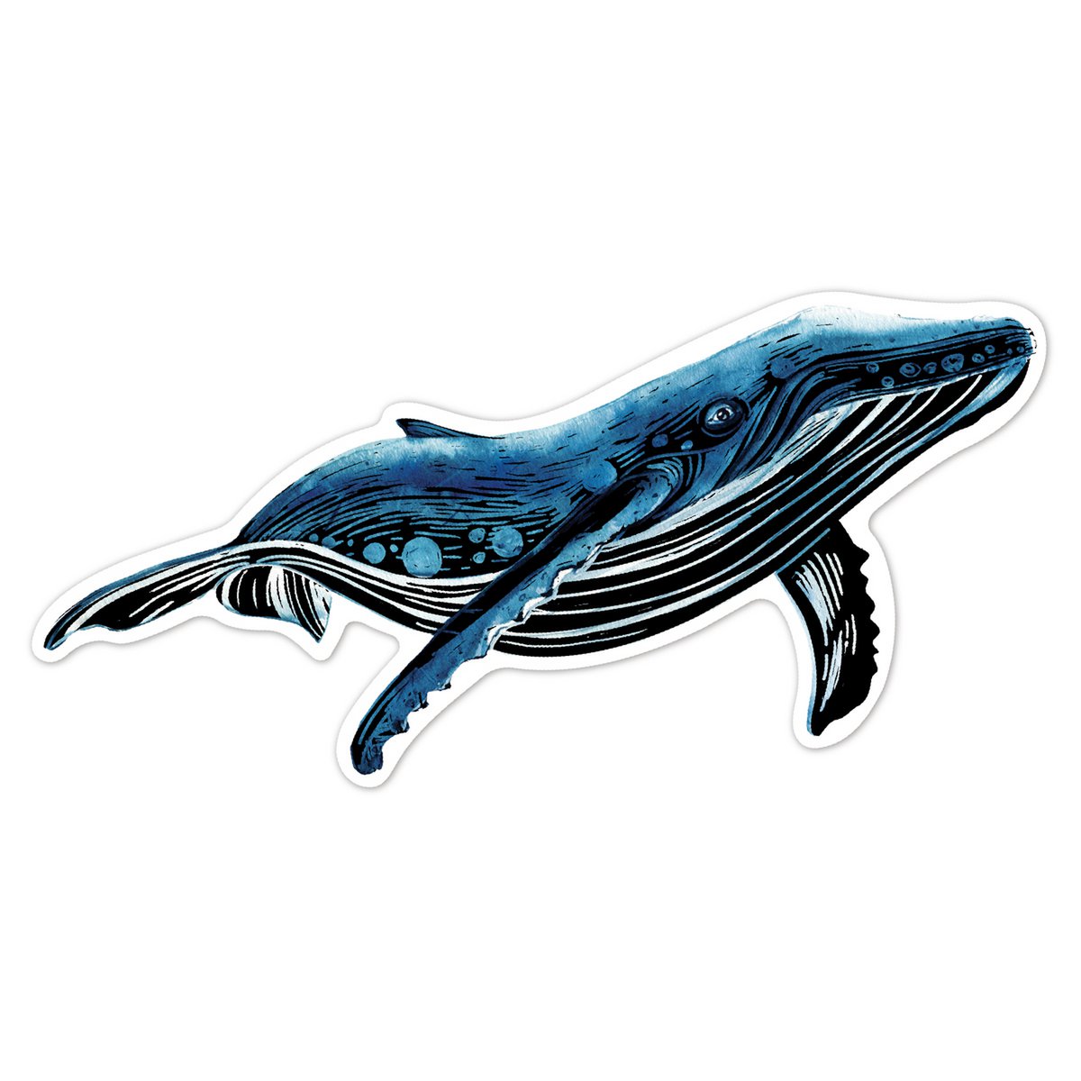 Scratch Stickers - Zeedieren