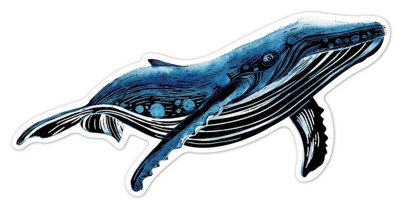 Scratch Stickers - Zeedieren