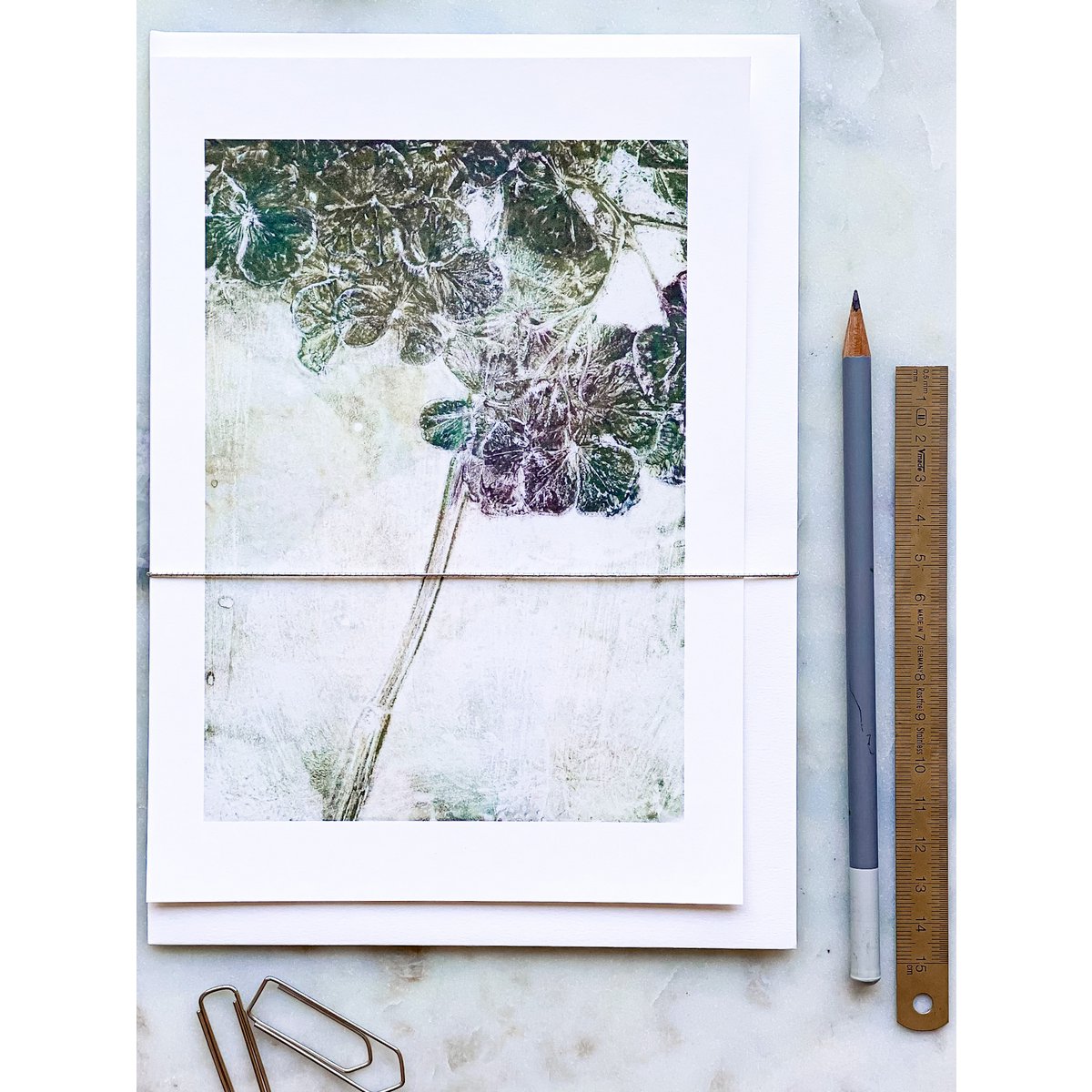 A5 Art Card | Hydrangea 'mild grøn'