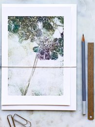 A5 art card featuring a hydrangea flower in a mild green color.