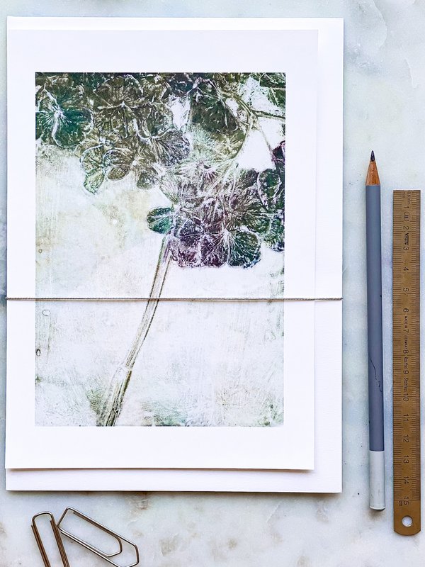 A5 Art Card | Hydrangea 'mild grøn'