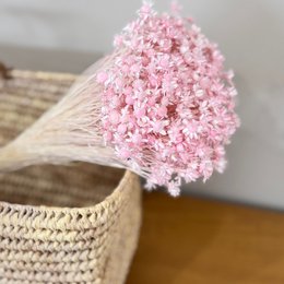 rosa 1 großer Bund