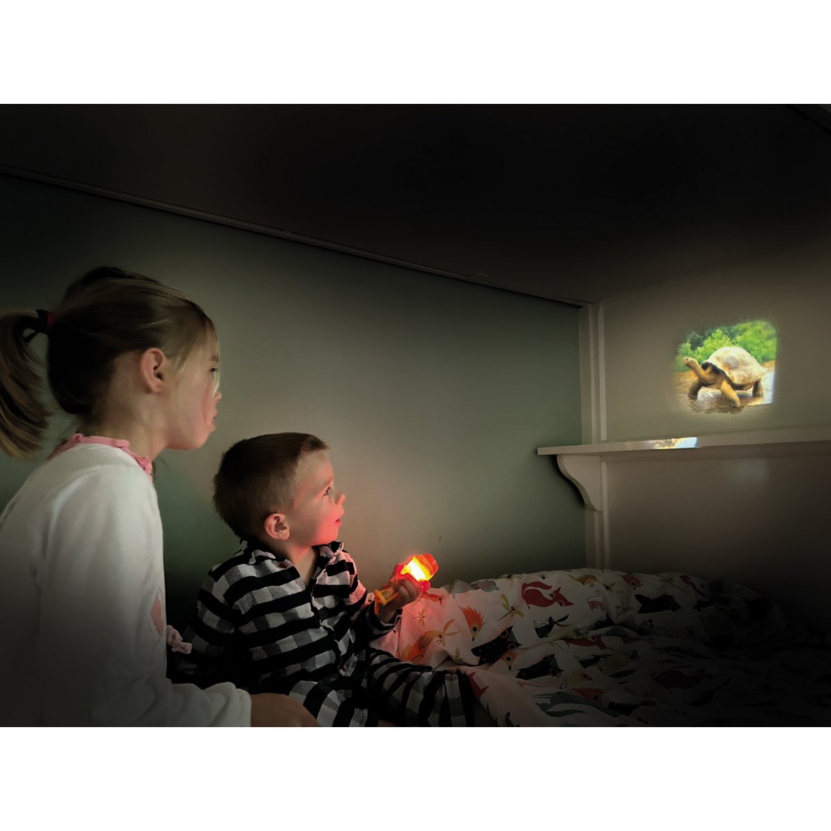 Projection flashlight - Wild Animals