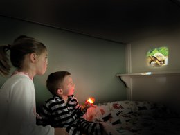 Projection flashlight - Wild Animals