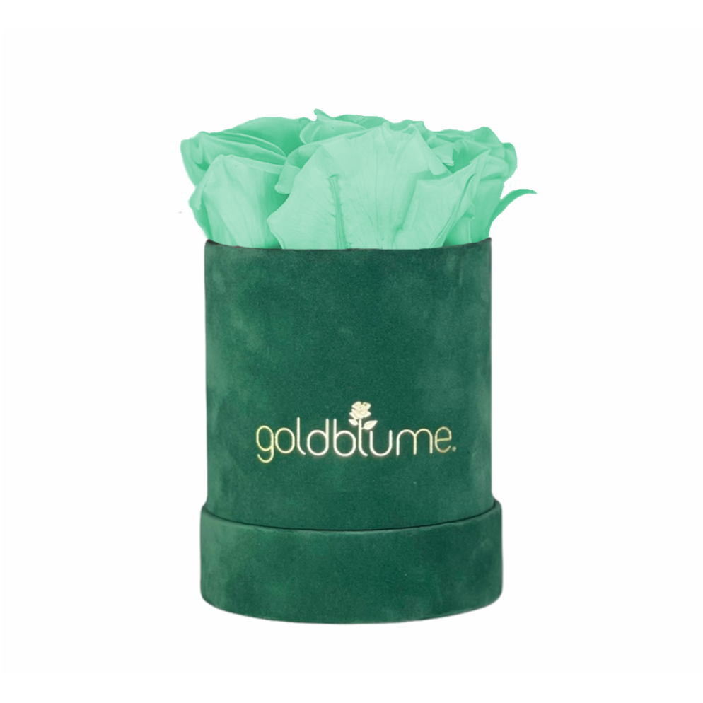 Velvet Green Collection