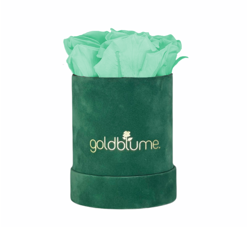 Velvet Green Collection