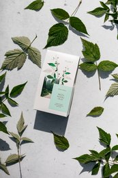 Wild Raspberry Leaf Tea - løs te