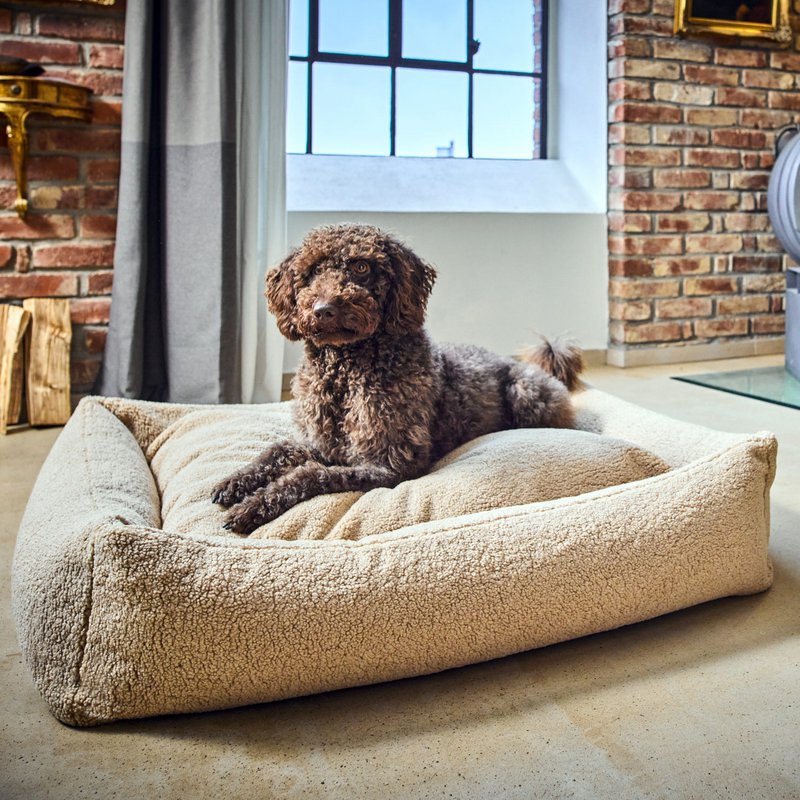 TEDDY I KLASSISK HUNDEBETT