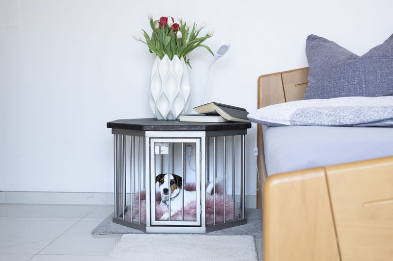 Hundeboks Night Edition LUCY Small