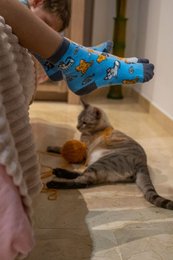 Kindersocken - Katzen