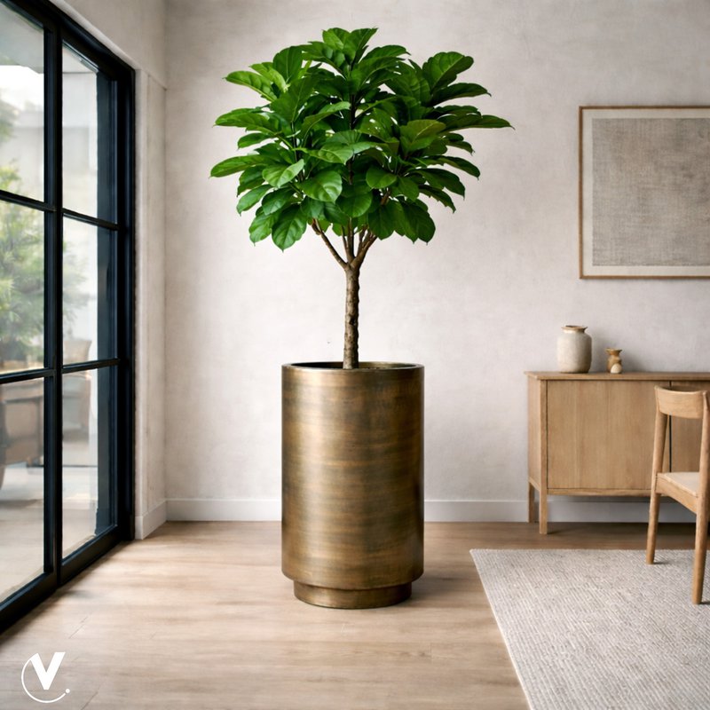 Plantenpot - Potosi aged brass