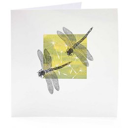 Francobollo: Libellula