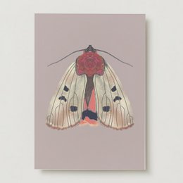 Cream-colored greeting card with a detailed illustration of a red-bodied moth with intricate wing patterns.