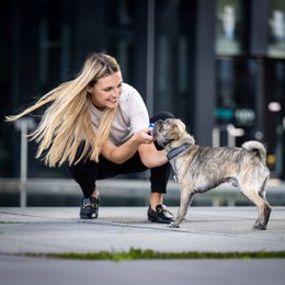 Bonnie Bone - kultlegetøj til hunde
