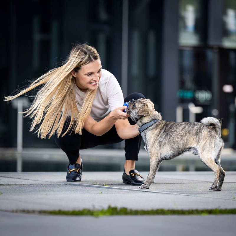 Bonnie Bone - kultlegetøj til hunde